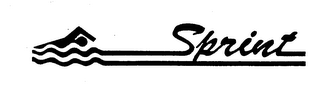 SPRINT logo