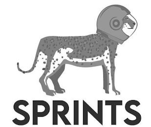 SPRINTS logo