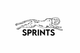 SPRINTS logo