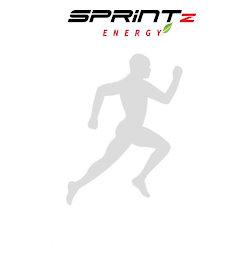 SPRINTZ ENERGY logo