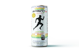 SPRINTZ ENERGY ALL NATURAL ORGANIC PLANT BASE JAM'N MANGO FORMULATED BY OLYMPIAN GOLD MEDALIST ALVIN HARRISON FUEL THE CHAMPION WITHIN THE BETTER FOR YOU ENERGY DRINK IMPROVE PERFORMANCE, STAMINA & ENDURANCE SUPPORT IMMUNITY STAY ALERT FOCUS RE-ENERGIZE 116MG CAFFEINE PER CAN 12 FL OZ (355 ML) logo