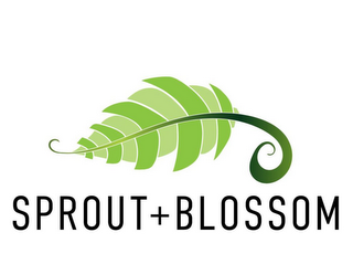 SPROUT+BLOSSOM logo
