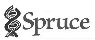 SPRUCE logo
