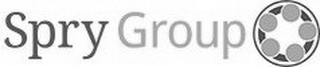 SPRY GROUP logo