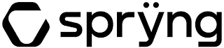 SPRŸNG logo