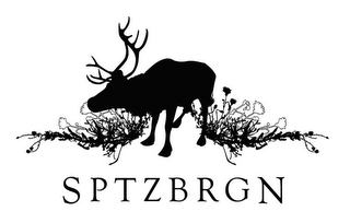 SPTZBRGN logo
