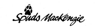 SPUDS MACKENZIE logo