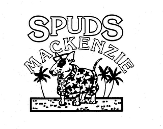 SPUDS MACKENZIE logo