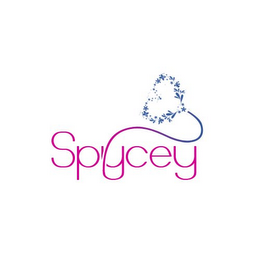 SPYCEY logo