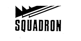 SQUADRON logo
