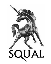 SQUAL logo