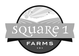 SQUARE 1 FARMS logo