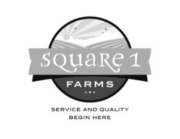 SQUARE 1 FARMS SERVICE AND QUALITY BEGIN HERE logo