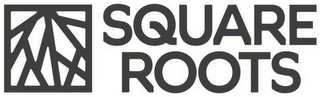 SQUARE ROOTS logo