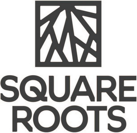 SQUARE ROOTS logo