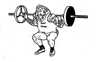 SQUAT SPONGE logo