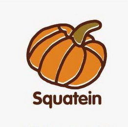 SQUATEIN logo