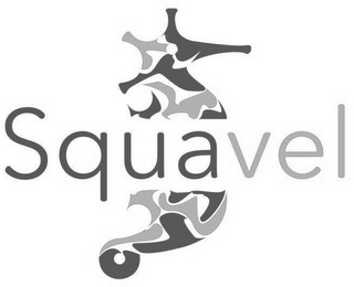 SQUAVEL logo