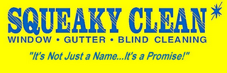 SQUEAKY CLEAN WINDOW · GUTTER · BLIND CLEANING IT'S NOT JUST A NAME... IT'S A PROMISE logo