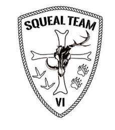 SQUEAL TEAM VI logo