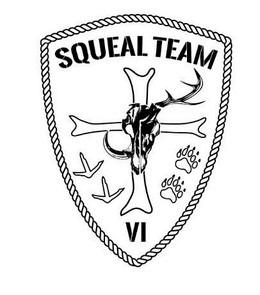 SQUEAL TEAM VI logo