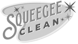 SQUEEGEE CLEAN logo