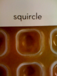 SQUIRCLE logo