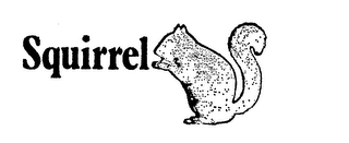 SQUIRREL logo