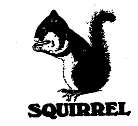 SQUIRREL logo