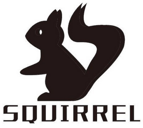 SQUIRREL logo
