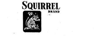 SQUIRREL BRAND