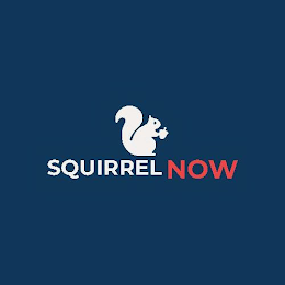 SQUIRREL NOW logo