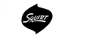 SQUIRT logo