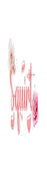SQUIRT logo