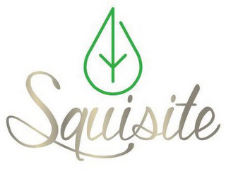 SQUISITE logo