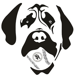 SR SANDLOT RECORDS logo