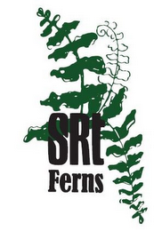 SRT FERNS logo