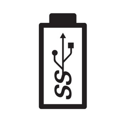 SS logo