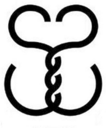 SS logo
