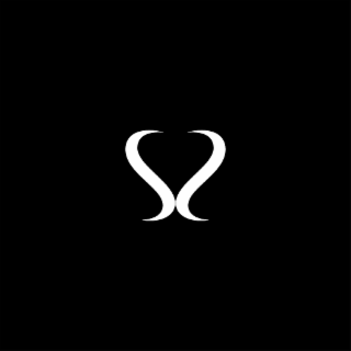 SS logo