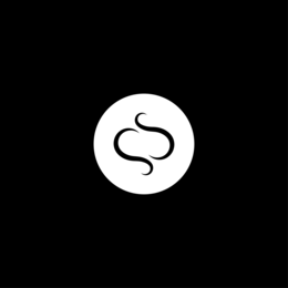 SS logo