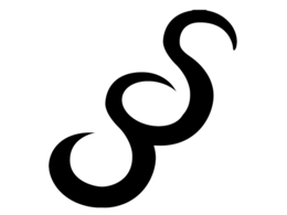 SS logo