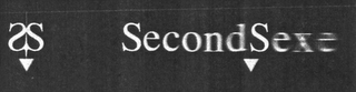 SS SECONDSEXE logo