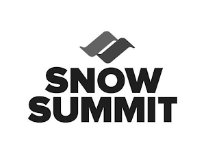 SS SNOW SUMMIT logo