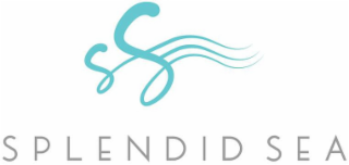 SS SPLENDID SEA logo