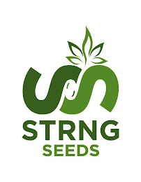 SS STRNG SEEDS logo