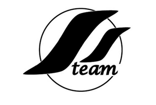 SS TEAM logo