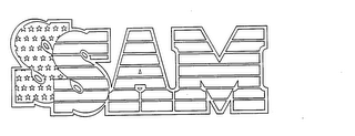 SSAM logo