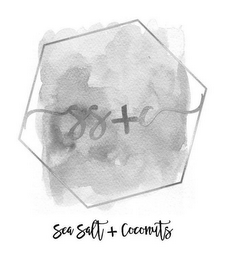 SS+C SEA SALT + COCONUTS logo