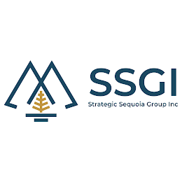 SSGI STRATEGIC SEQUOIA GROUP INC logo